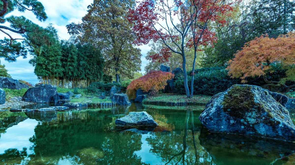 Le monde des plantes exotiques dans le jardin japonais