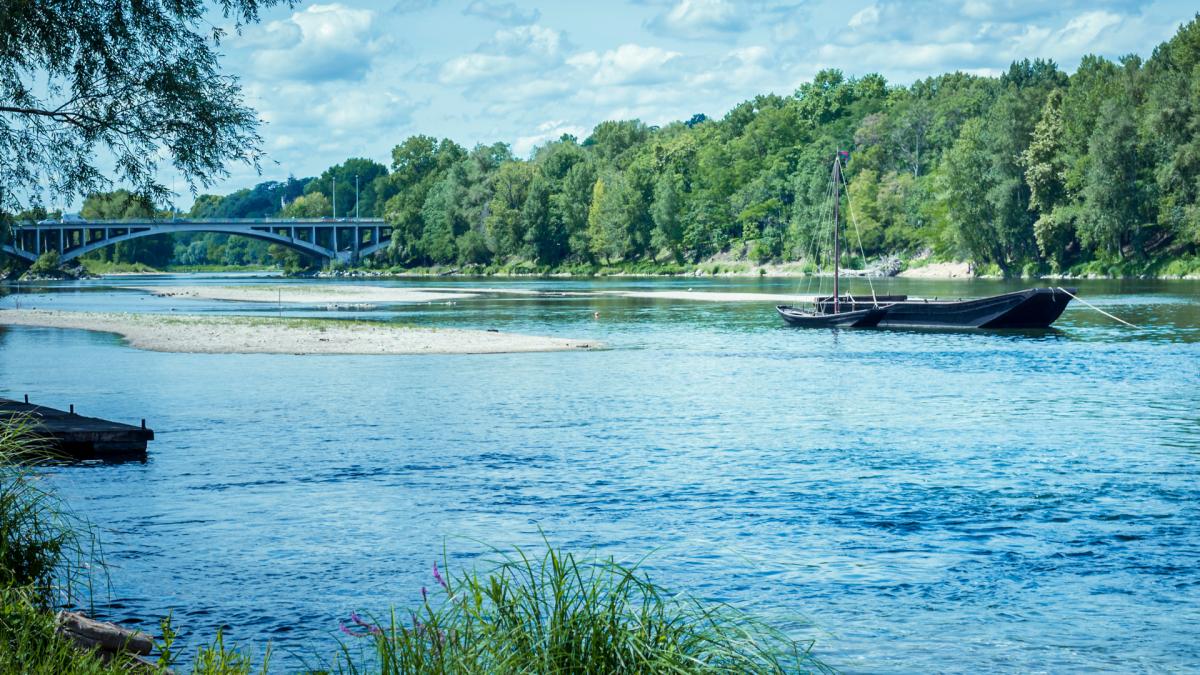 La ville qui bouge entre Loire et forêt