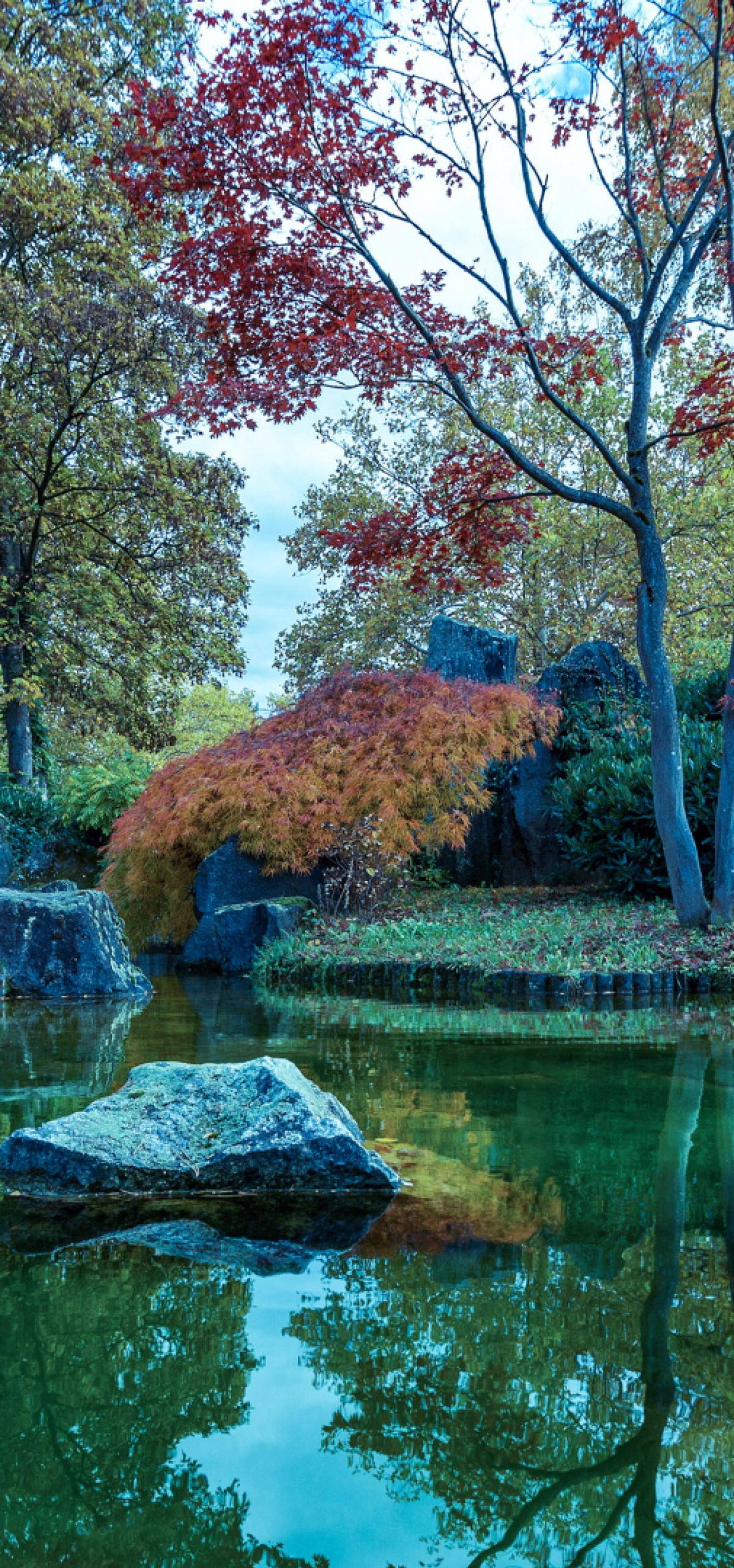 Exotic plant world in the Japanese garden