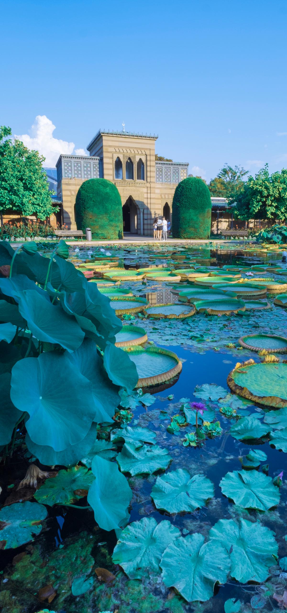 Zoologická a botanická zahrada Wilhelma