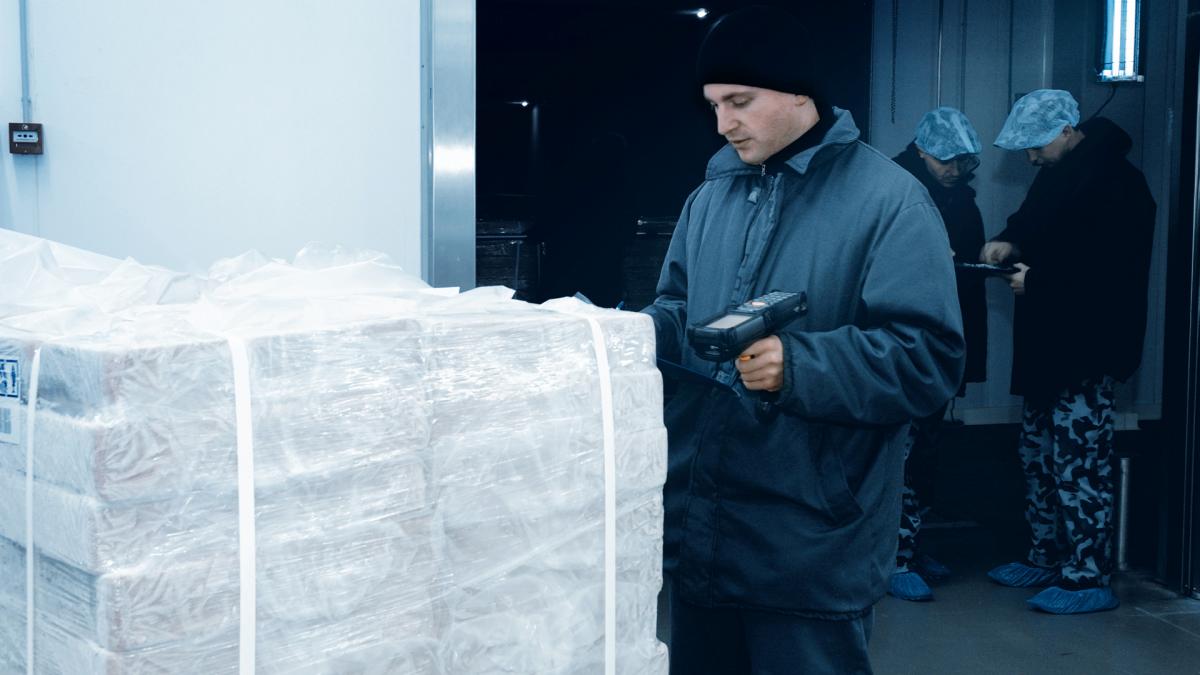 viastore Tiefkühllager mit Warehouse Management Software viadat bei Myronivsky Hliboproduct, Lebensmittelindustrie 