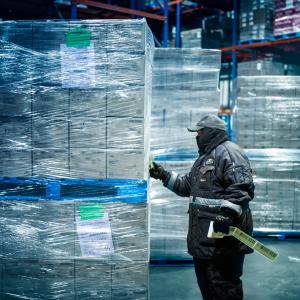 Freezer Warehouse Worker in Cold Chain Warehouse