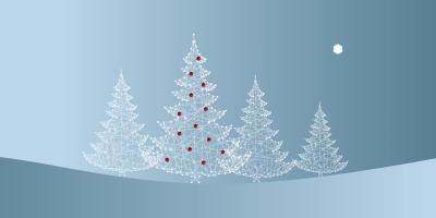 Weihnachtsbäume im Wald