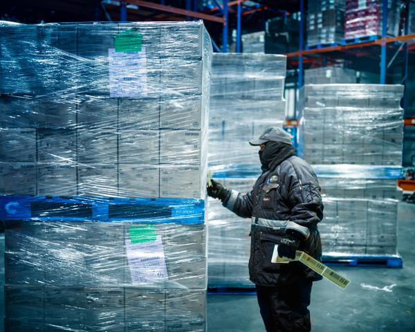 Freezer Warehouse Worker in Cold Chain Warehouse